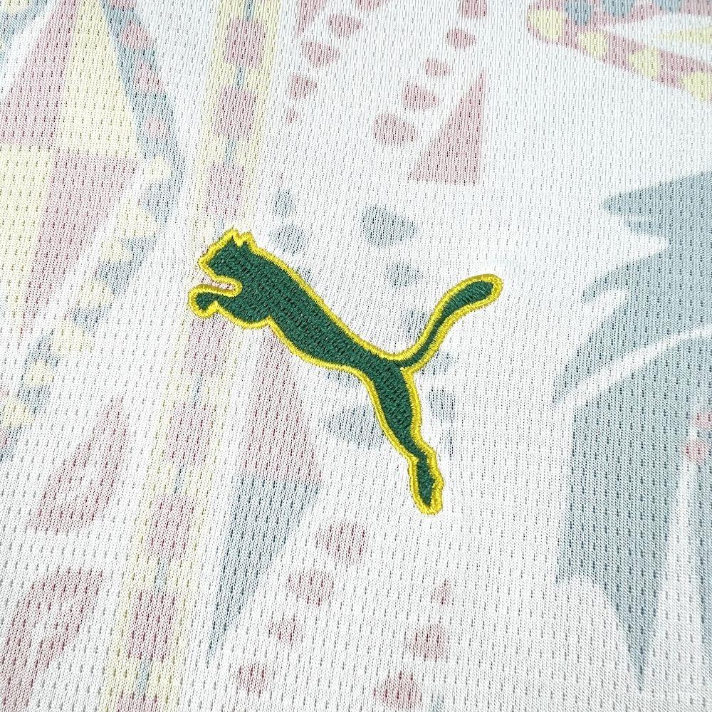 Senegal 2026 Football Kit
